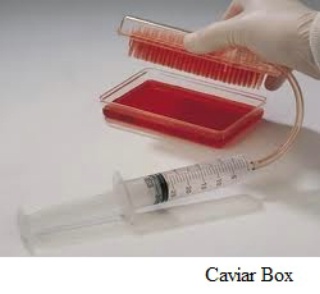 Caviar Box
