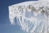 Sywawa propose un parasol tout en dentelle