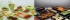Nouveaux bacs et plats Gastronorm Vestah® de Platex