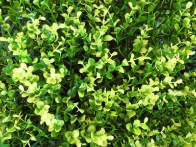 Pour l'habillage des murs, claustras ou murets, un nouvel élément décoratif est désormais sur le marché : il s'agit de panneaux de plantes artificielles du meilleur effet.