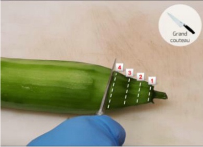 Le jeu permet d'apprendre à préparer des entrées avec un épluchage et des dosages appropriés.