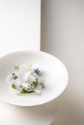 SD One, nouvelle collection de Degrenne