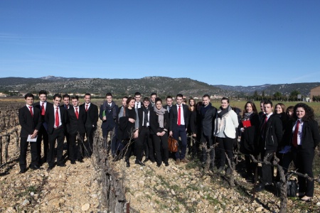Les élèves des deux lycées ont arpenté les vignes pour mieux comprendre les vins.