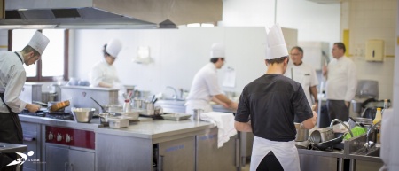 Le taux de rupture des contrats d'apprentissage atteindrait 48,9% en CHR. Le taux de rupture des contrats d'apprentissage atteindrait 48,9% en CHR.