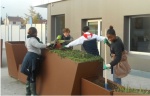 FERRANDI Paris campus de Saint-Gratien crée son propre potager