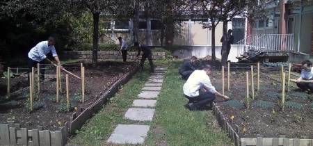 Le nouveau potager : Un travail en commun entre l'EA et FERRANDI Jouy-en-Josas Le nouveau potager : Un travail en commun entre l'EA et FERRANDI Jouy-en-Josas