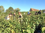 La vigne comme salle de classe pour le lycée Larbaud