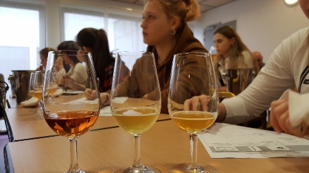 travaux,pratiques, vin, cidre travaux,pratiques, vin, cidre