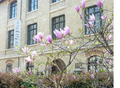 Lycée et CFA Belliard Lycée et CFA Belliard