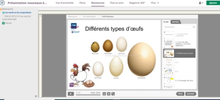module learning : différents types d'oeufs