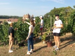 Pour les élèves de Terminale Bac Pro Restaurant du lycée Larbaud, Le bonheur est dans la vigne !