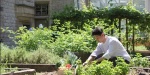 Institut Paul Bocuse : Etudier et vivre sur un campus éco-responsable