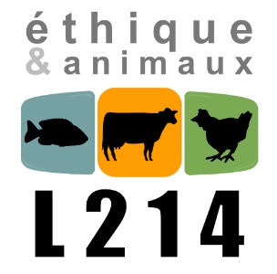 L214 forme des profs des écoles hôtelières à la cuisine végétale L214 forme des profs des écoles hôtelières à la cuisine végétale