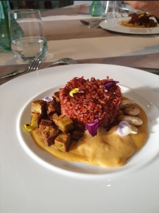 Tofu à l'ail des ours accompagné de son riz rouge et ses haricots de Soissons sauce arachide