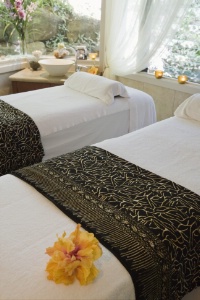 L'objectif n'est pas d'avoir un spa pour un spa, simplement parce que ça semble 'à la mode'. L'objectif n'est pas d'avoir un spa pour un spa, simplement parce que ça semble 'à la mode'.