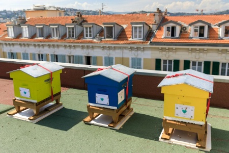 À Nice, l'hôtel Florence pousse la démarche au point d'avoir installé des ruches sur son toit