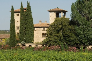 Le Château de Berne et son univers de vignes.
