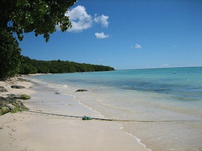 En Guadeloupe, il ne resterait que 3 000 chambres, soit moins que dans une ville comme Biarritz. En Guadeloupe, il ne resterait que 3 000 chambres, soit moins que dans une ville comme Biarritz.