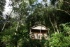 Le Jungle Bay, un hôtel niché dans la forêt tropicale