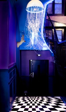 L'entrée, avec ses luminaires-méduses signés Quasar.