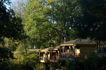Construites au milieu des arbres du parc de 12 ha, les maisons des bois sont de véritables lodges en pleine Vendée.