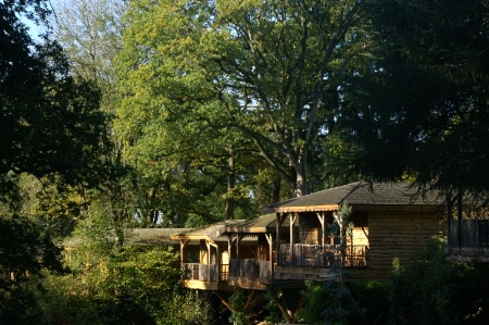 Construites au milieu des arbres du parc de 12 ha, les maisons des bois sont de véritables lodges en pleine Vendée. Construites au milieu des arbres du parc de 12 ha, les maisons des bois sont de véritables lodges en pleine Vendée.