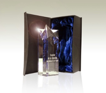Le trophée de la clientèle des hôtels 4 et 5*. Le trophée de la clientèle des hôtels 4 et 5*.