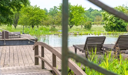 Piscine naturelle du Château de l'Epinay, hôtel situé à Saint-Georges-sur-Loire, près d'Angers. Piscine naturelle du Château de l'Epinay, hôtel situé à Saint-Georges-sur-Loire, près d'Angers.