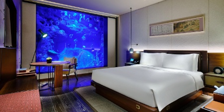 Une chambre, située dans la partie immergée de l'hôtel, donnant sur un aquarium. Une chambre, située dans la partie immergée de l'hôtel, donnant sur un aquarium.