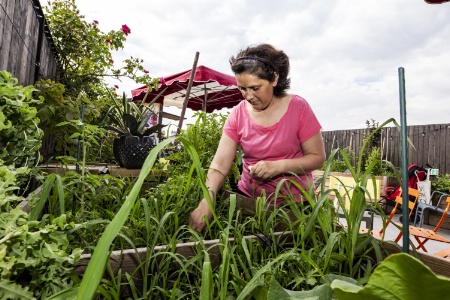Le MOB Paris Les Puces, à Saint-Ouen (Seine-Saint-Denis), compte 30 'potagers à cultiver librement'..