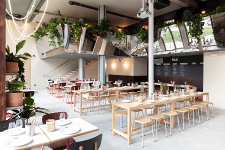 Pensé comme un tiers-lieu, Pilo propose un bistrot locavore ouvert à tous. Pensé comme un tiers-lieu, Pilo propose un bistrot locavore ouvert à tous.