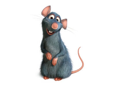 Dans la réalité, les congénères de Rémy, le héros du film de Walt Disney Ratatouille, sont bien peu sympathiques ou attachants.