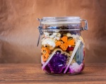 Graines germées, légumes fermentés : dangers et moyens de maîtrise