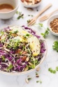 Graines germées, légumes fermentés : dangers et moyens de maîtrise