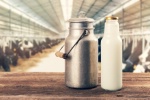 L'utilisation du lait cru et des produits du lait cru en restauration