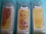 Hygiène en fiche pratique : les produits d'entretien