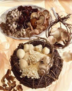 En matière de champignons sauvages, c’est la prudence qui doit primer avant tout. En matière de champignons sauvages, c’est la prudence qui doit primer avant tout.