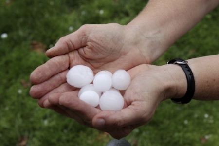 Les orages de grêle qui ce sont abattus sur de nombreux départements la semaine dernière ont causé d'importants dégâts matériels. Les orages de grêle qui ce sont abattus sur de nombreux départements la semaine dernière ont causé d'importants dégâts matériels.
