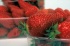 Quels vins pour accompagner les fraises ?