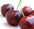 Ayez la Fraîch’Attitude en mangeant des cerises