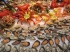 Quels vins proposer pour accompagner les fruits de mer ?