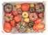 La tomate : du soleil dans les assiettes !