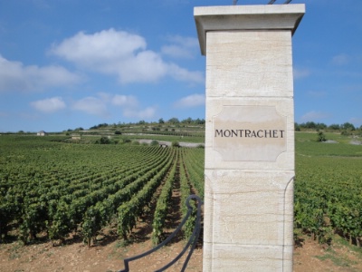 Ce grand cru bourguignon occupe 7,99 hectares , au Sud de Beaune. Ce grand cru bourguignon occupe 7,99 hectares , au Sud de Beaune.