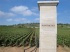 Le Montrachet, un vin d'exception