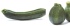 Ayez la Fraîch’Attitude en mangeant des courgettes