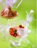 Papillote cristal de poissons et légumes du soleil Davigel
