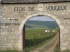 Le pinot noir, cépage noble par excellence