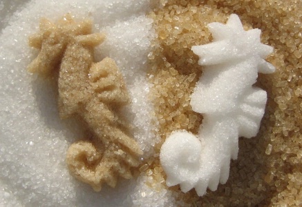 Sucre de canne ou sucre blanc, moulés en forme d'hippocampe. Sucre de canne ou sucre blanc, moulés en forme d'hippocampe.