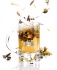 Fischer de Noël 2010, chaude et parfumée