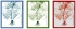 Jamet’s lance les Infusions Sensitives